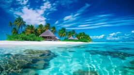 lechebnaya-muzyka-dlya-snyatiya-stressa-ustalosti-depresii-negativa-detoks-negativnyh-emocij-58-attachment