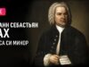 live-iogann-sebastyan-bah-messa-ci-minor-johann-sebastian-bach-mass-in-b-minor-attachment