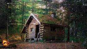 myagkij-dozhd-v-lesu-bez-groma.-zasypaj-za-5-minut.-zvuki-dozhdya-dlya-sna-attachment