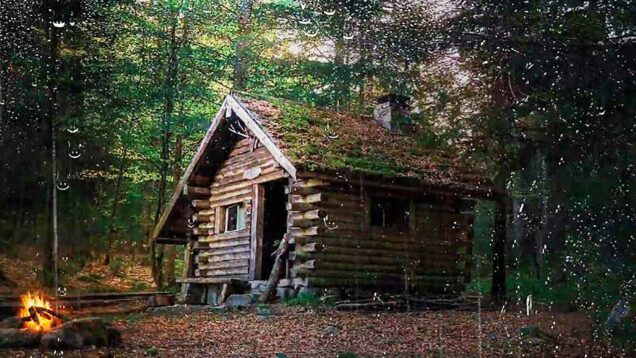 myagkij-dozhd-v-lesu-bez-groma.-zasypaj-za-5-minut.-zvuki-dozhdya-dlya-sna-attachment