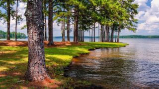 nezhnaya-muzyka-uspokaivaet-nervnuu-sistemu-i-raduet-dushu-lechebnaya-muzyka-dlya-serdca-i-sosudov-145-attachment