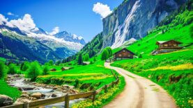 nezhnaya-muzyka-uspokaivaet-nervnuu-sistemu-i-raduet-dushu-lechebnaya-muzyka-dlya-serdca-i-sosudov-235-attachment