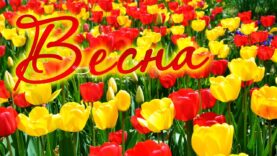 nezhnost-vesny-eta-bozhestvenno-krasivaya-zavorazhivaushhaya-muzyka-lubvi-sozdaet-potryasaushhee-nastroenie-attachment