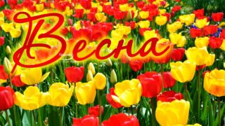 nezhnost-vesny-eta-bozhestvenno-krasivaya-zavorazhivaushhaya-muzyka-lubvi-sozdaet-potryasaushhee-nastroenie-attachment