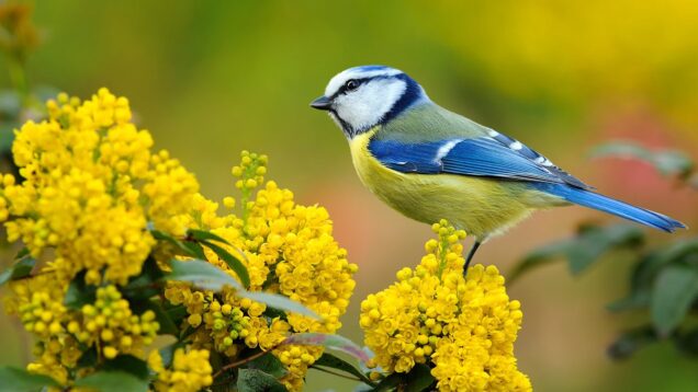 uspokaivaushhaya-muzyka-dlya-nervov-lechebnaya-muzyka-dlya-serdca-i-sosudov-relaks-muzyka-dlya-dushi-206-attachment