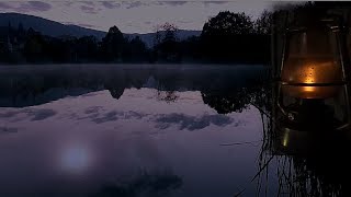 zvuki-nochi.-sverchki-i-nezhnaya-muzyka-dlya-rasslableniya-attachment