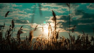 zvuki-nochnogo-polya-tresk-cikad-.-shum-vetra.-zvuki-dlya-meditacii-otdyha-i-sna.-relax-attachment