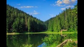 zvuki-prirody-rasslablyaushhaya-muzyka-dlya-sna-attachment