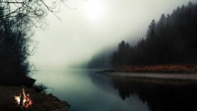 zvuki-prirody-sverchki-lyagushki-i-penie-ptic-dlya-glubokogo-sna-attachment