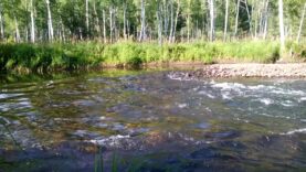 zvuki-prirody.-asmr-nature-sounds.-shum-reki.-relaks.-nizhneudinsk-reka-mara.-sibir-attachment